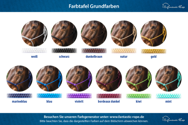 Grundfarben Halfter Grundfarben Halfter