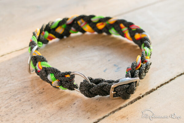 Halsband „Leo“ Halsband „Leo“