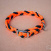 Halsband_Reflection_Schnalle_01_web Halsband_Reflection_Schnalle_01_web