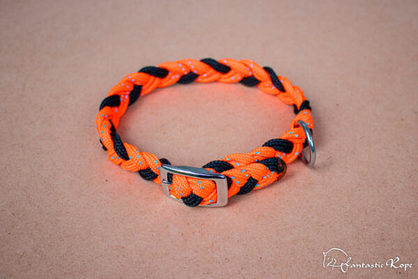 Halsband_Reflection_Schnalle_01_web Halsband_Reflection_Schnalle_01_web