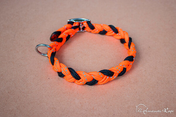 Halsband_Reflection_Schnalle_02_web Halsband_Reflection_Schnalle_02_web