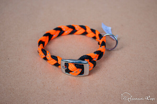 Halsband_Reflection_Schnalle_Mini_01_web Halsband_Reflection_Schnalle_Mini_01_web
