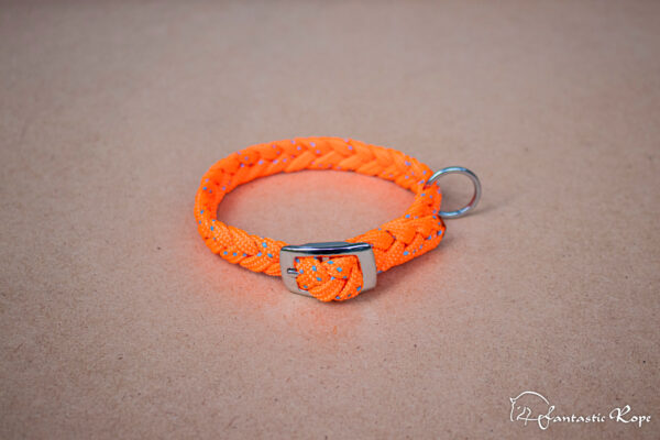 Halsband_Reflection_Schnalle_Mini_03_web Halsband_Reflection_Schnalle_Mini_03_web