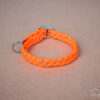 Halsband_Reflection_Schnalle_Mini_04_web Halsband_Reflection_Schnalle_Mini_04_web