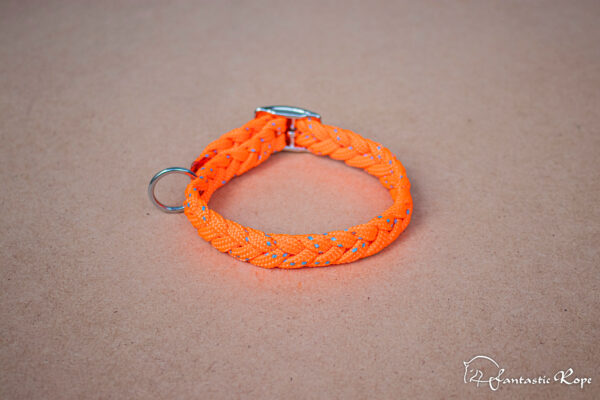 Halsband_Reflection_Schnalle_Mini_04_web Halsband_Reflection_Schnalle_Mini_04_web