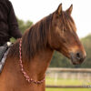 Halsring „Sweet Trixie“ Halsring „Sweet Trixie“