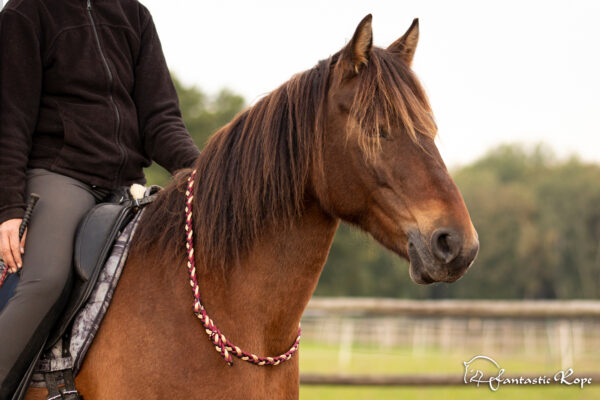 Halsring „Sweet Trixie“ Halsring „Sweet Trixie“
