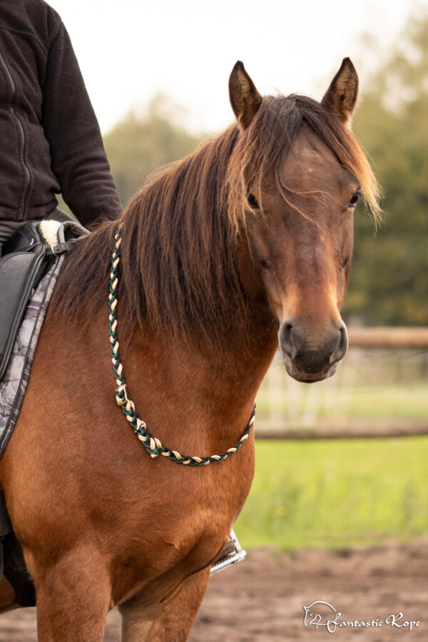 Halsring „Sweet Trixie“ Halsring „Sweet Trixie“