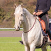 Halsring „Sweet Trixie“ Halsring „Sweet Trixie“