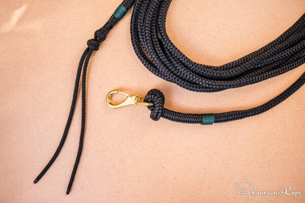 _MG_4556_web _MG_4556_web