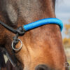 _MG_6955_web _MG_6955_web