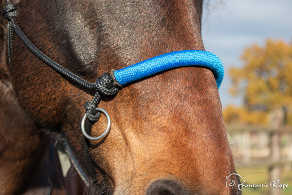 _MG_6955_web _MG_6955_web