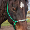 _MG_7161_web