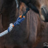 Fixi als Cowboysnap