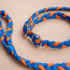 _MG_7779_web _MG_7779_web