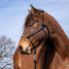 _MG_8981_web _MG_8981_web