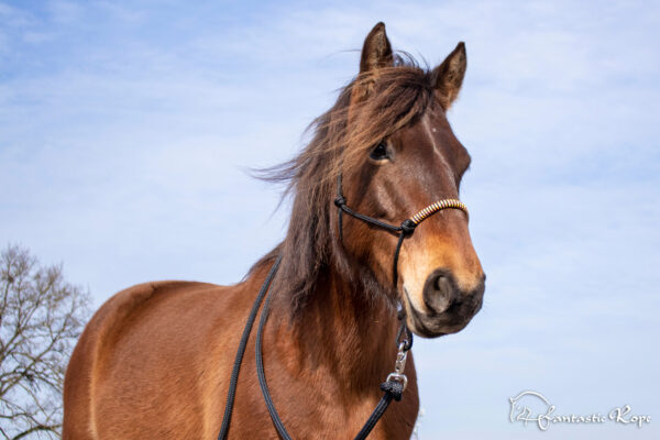 _MG_8986_web _MG_8986_web