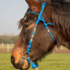 Zaum_FR_Stirnband_Don_02_web Zaum_FR_Stirnband_Don_02_web