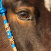 Zaum_FR_Stirnband_Don_Detail_01_web Zaum_FR_Stirnband_Don_Detail_01_web