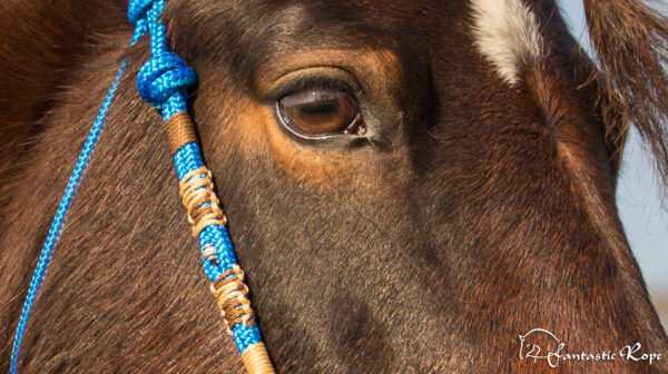 Zaum_FR_Stirnband_Don_Detail_01_web Zaum_FR_Stirnband_Don_Detail_01_web