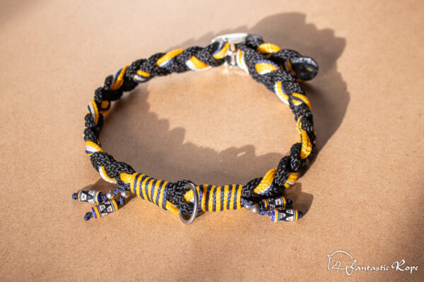 _MG_5237_web _MG_5237_web