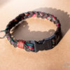 _MG_5247_web _MG_5247_web