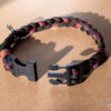_MG_5250_web _MG_5250_web