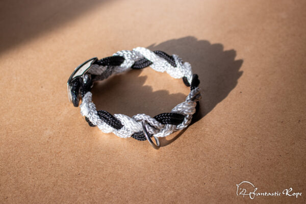 _MG_5255_web _MG_5255_web