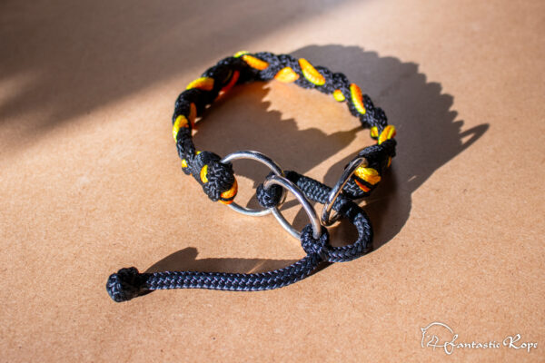 _MG_5282_web _MG_5282_web