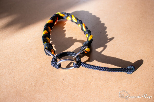 _MG_5284_web _MG_5284_web