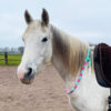 Halsring Greta Halsring Greta